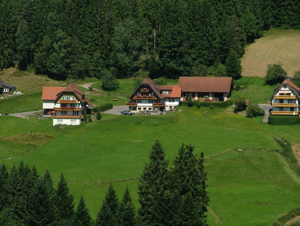 Martina Frey Ferienwohnungen Baiersbronn Exterior foto