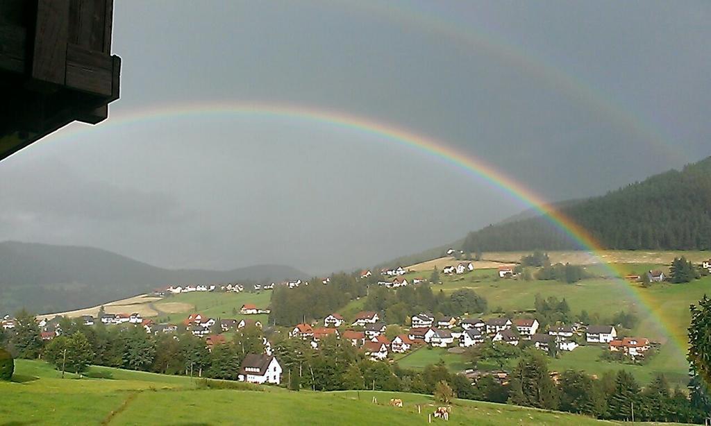 Martina Frey Ferienwohnungen Baiersbronn Exterior foto